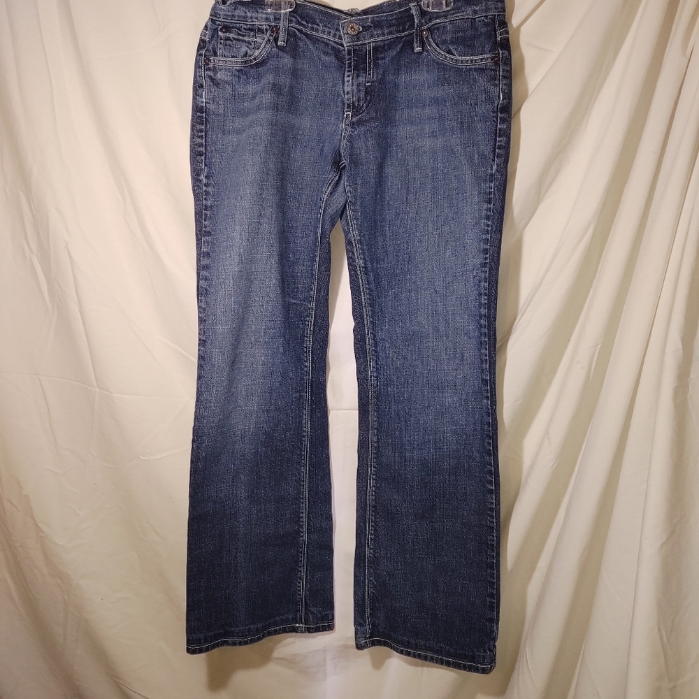 James Jeans Dry Agreed Denim Women's